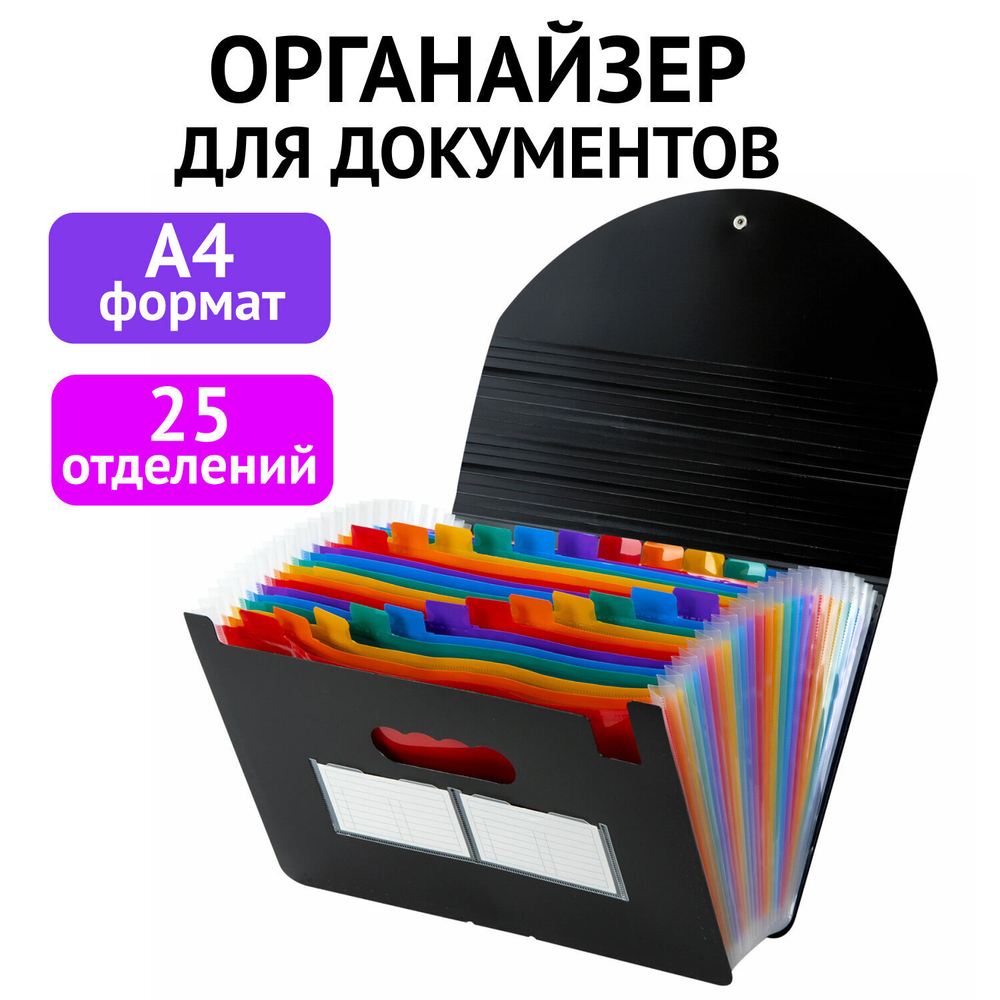 Папка-органайзер для бумаг и документов на резинке 25 отделений BRAUBERG DOCS А4 черная (2 штуки в упаковке)