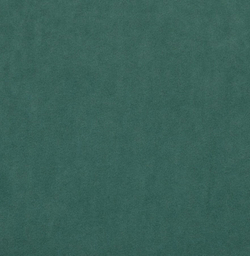 Микровелюр Бэст 19