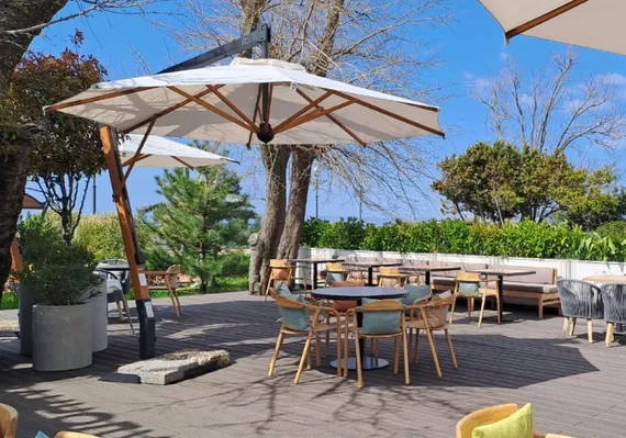 Зонт профессиональный Palladio Braccio Ø3.5 м, имитация ироко, слоновая кость