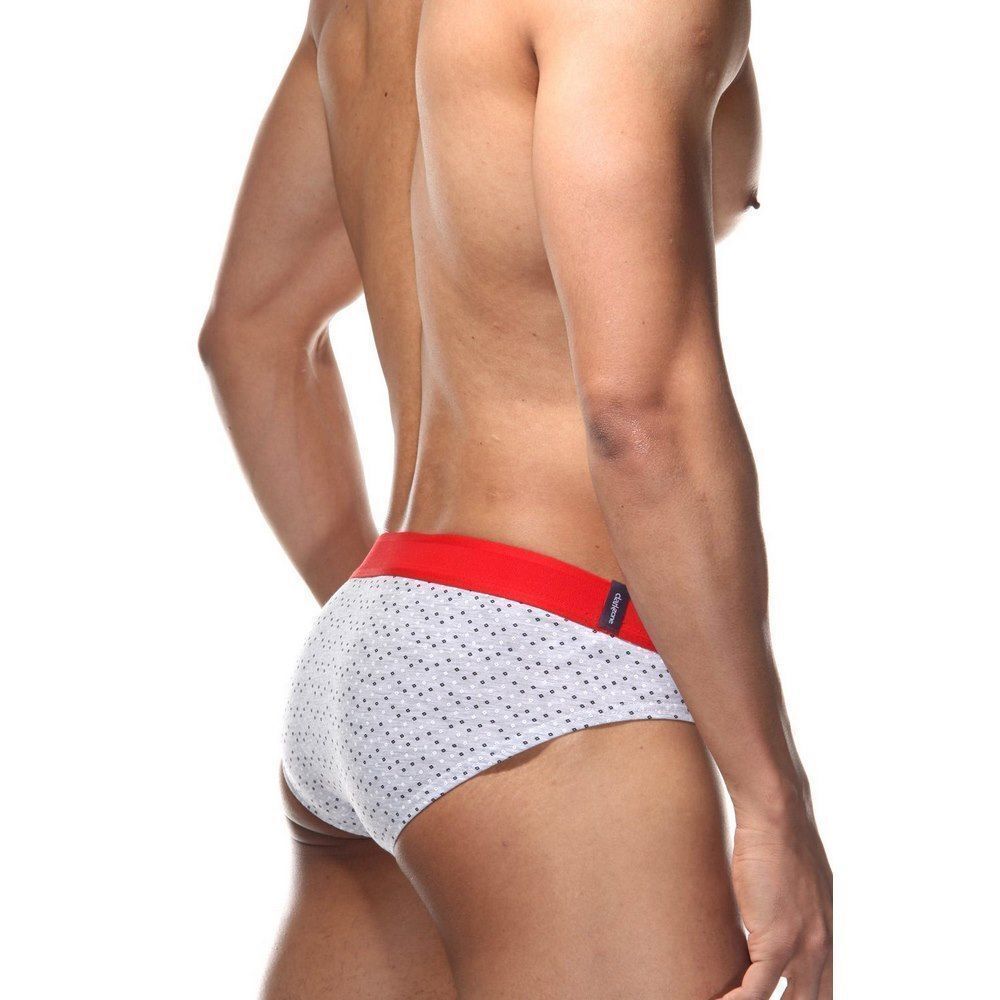 Трусы мужские слипы серые DARKZONE DZN6341