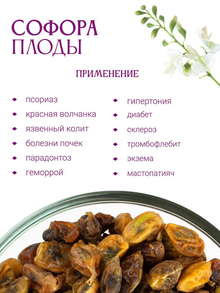 Софора плоды