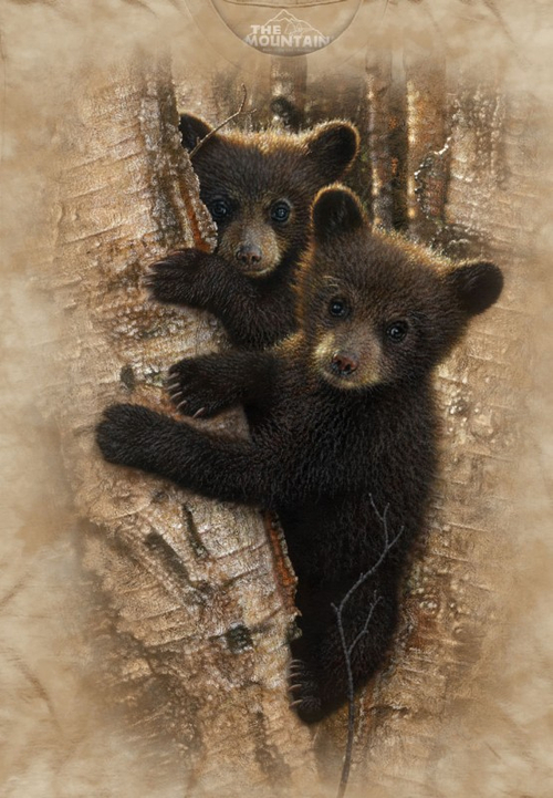 Футболка детская Mountain с изображением медвежат - Curious Cubs
