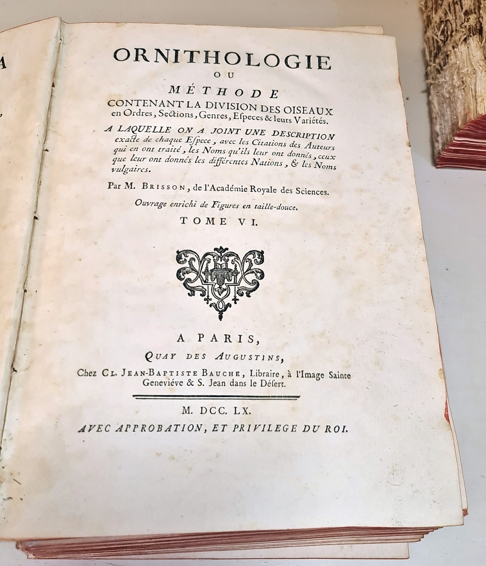 "Орнитология или метод, содержащий разделение птиц на отряды. (Ornithologie ou methode contenant la division des oiseaux en ordres)". Mathurin-Jacques Brisson (Матюрен-Жак Бриссон). 0г.