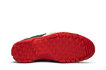 Кроссовки Nike Sfb Mountain