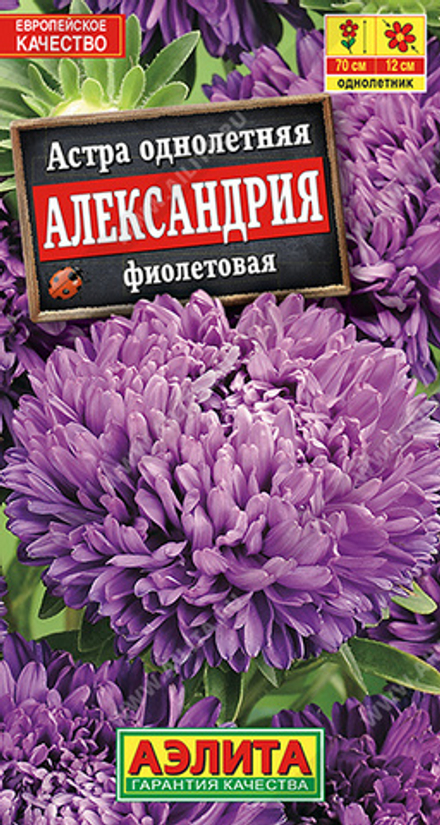 Астра Александрия фиолетовая 0,1гр Сферические Аэлита