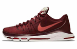 Кроссовки Nike Kd 8 Perserverance 8