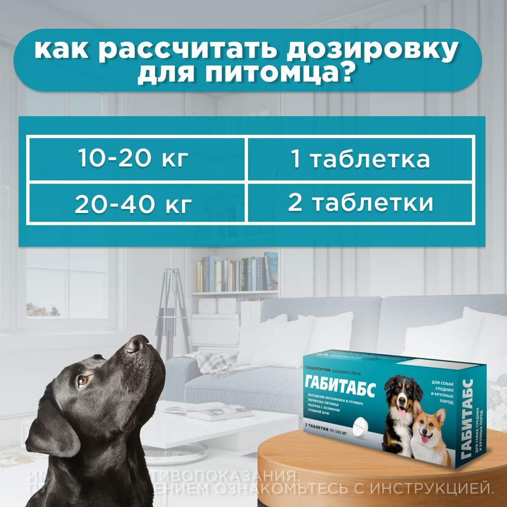 Таблетки для устранения поведенческих расстройств у собак средних и крупных пород Габитабс 200мг (Apicenna),10таб Габапентин