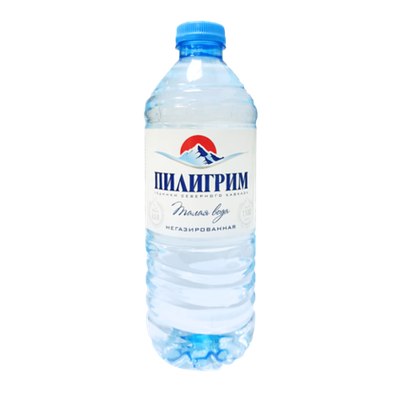 Вода негазир 0,5л