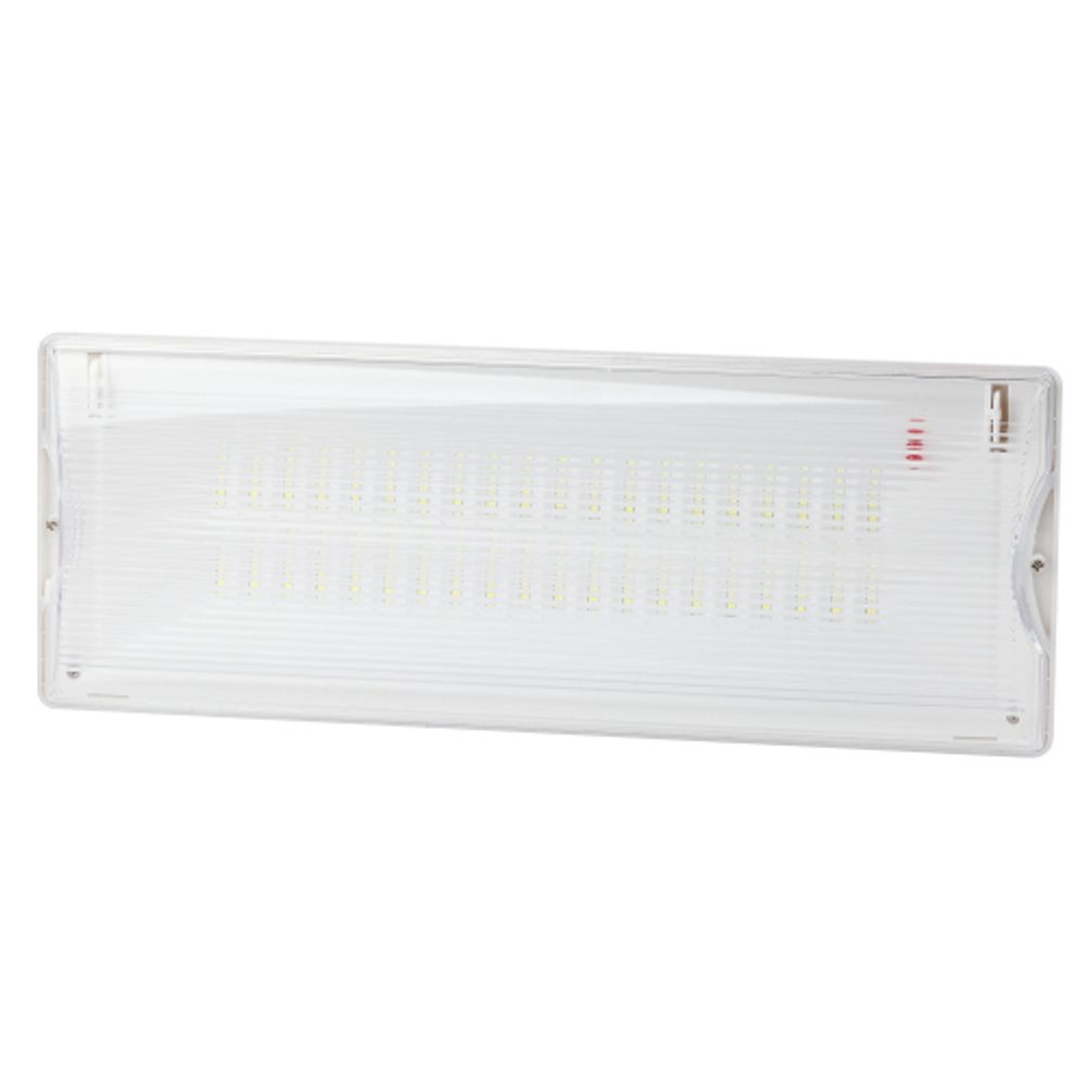 Аварийный светильник светодиодный ЭРА DPA-301-0-65 непостоянный 40LED 3ч IP65