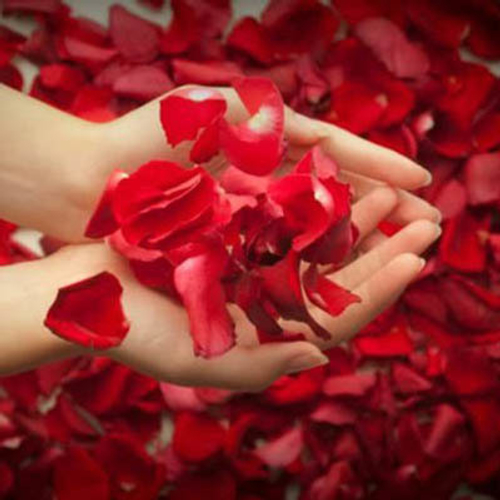 Купить Лепестки роз