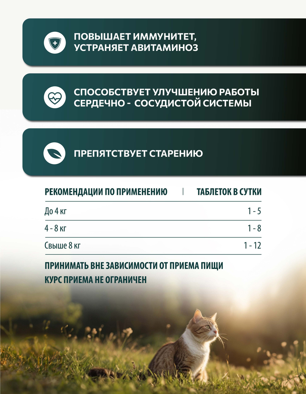 Vita+ мультивитаминное лакомство для кошек Крепкий иммунитет, 90 таблеток