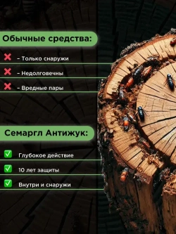 АнтиЖук для древесины 10л