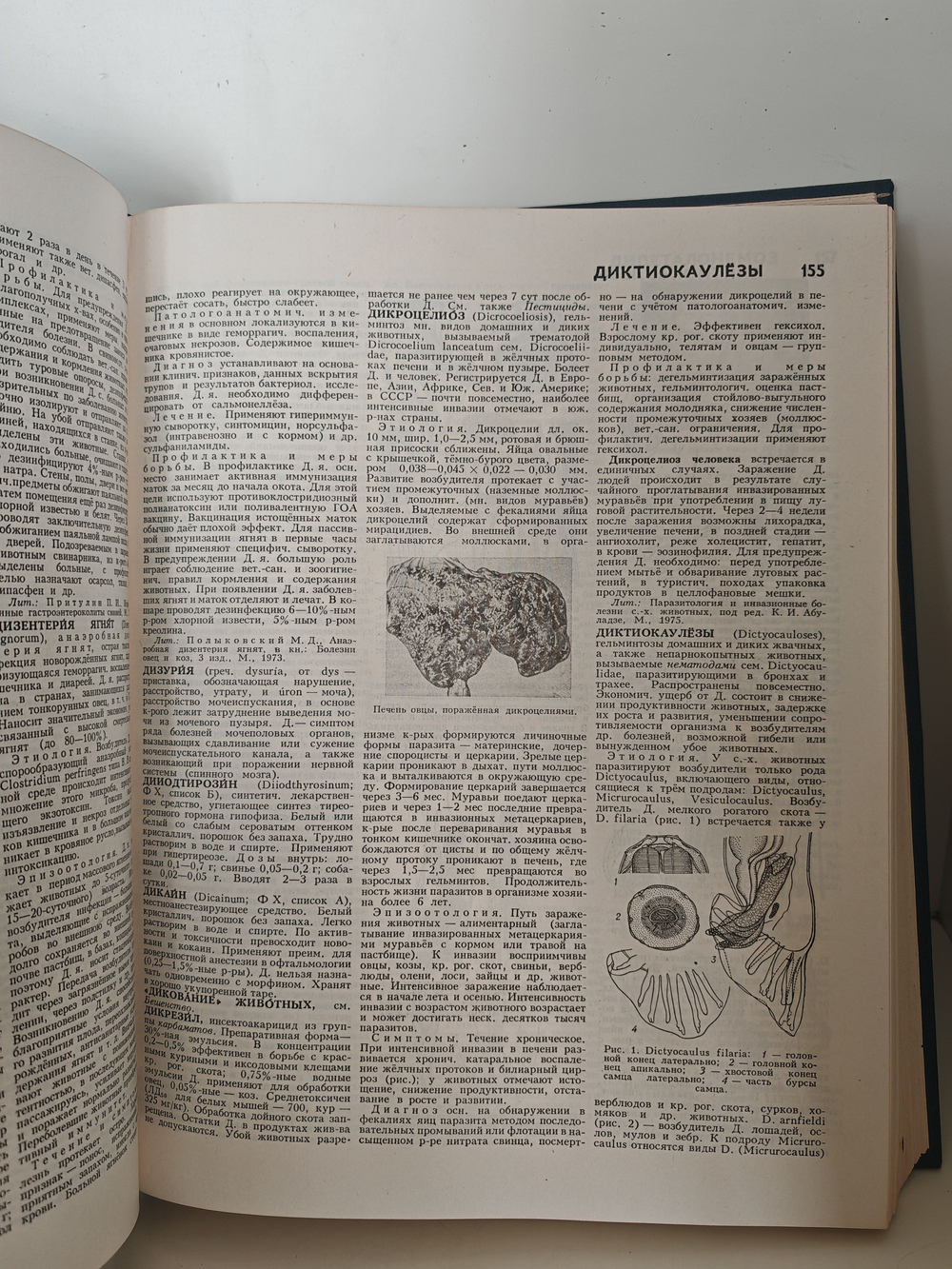 Ветеринарный энциклопедический словарь