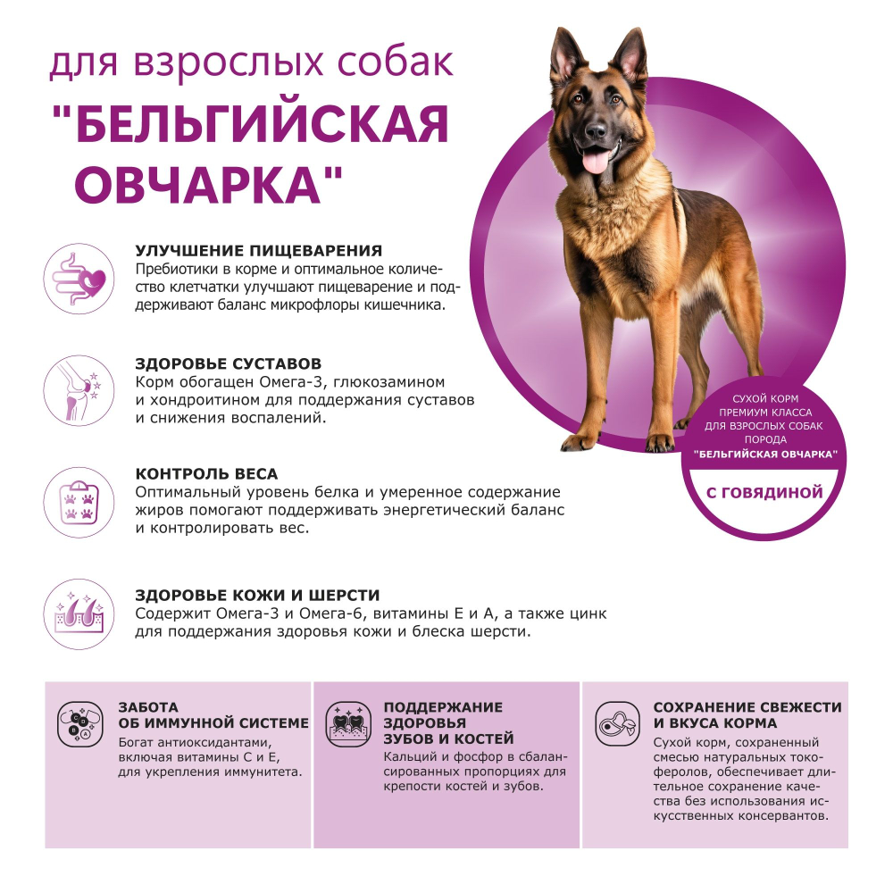 Корм сухой для взрослых собак породы Бельгийская овчарка, премиум полнорационный комплекс, с говядиной, 2,5 кг, QUATTRO