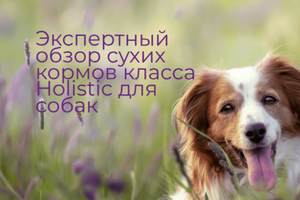 Экспертный обзор сухих кормов класса Holistic для собак