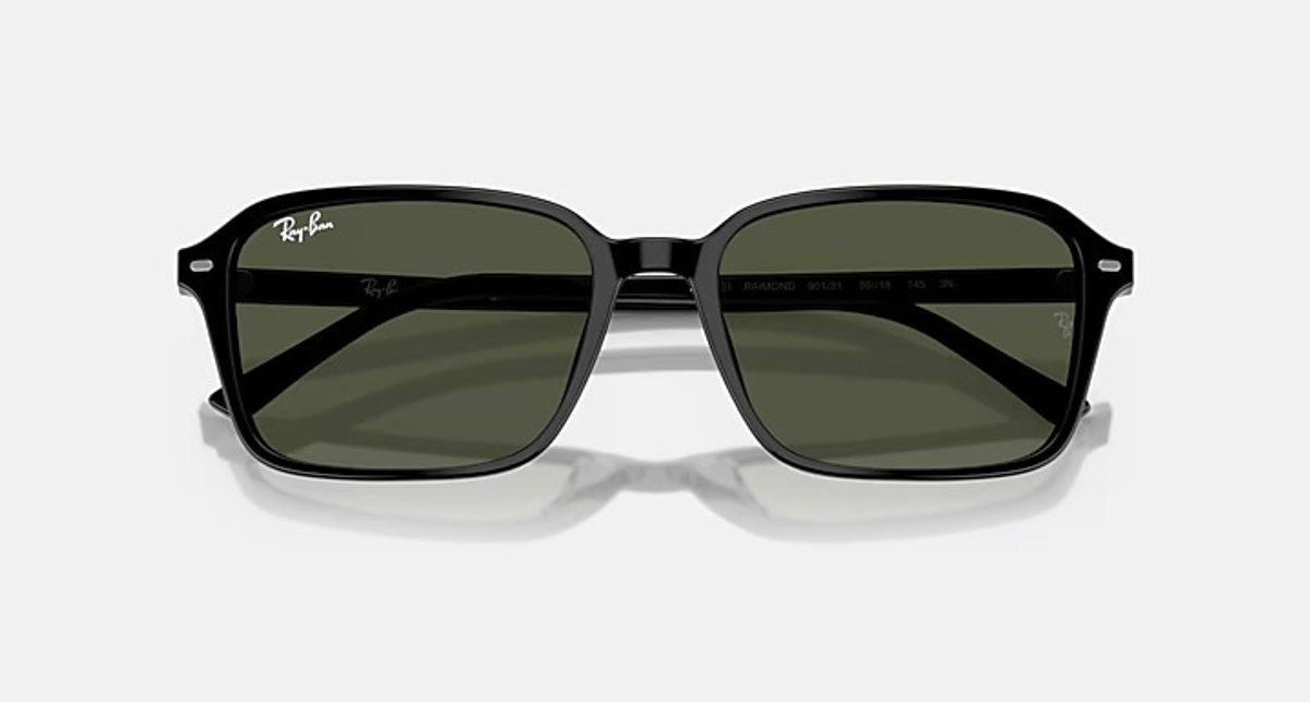 RAY-BAN RAIMOND RB2231-F 901/31