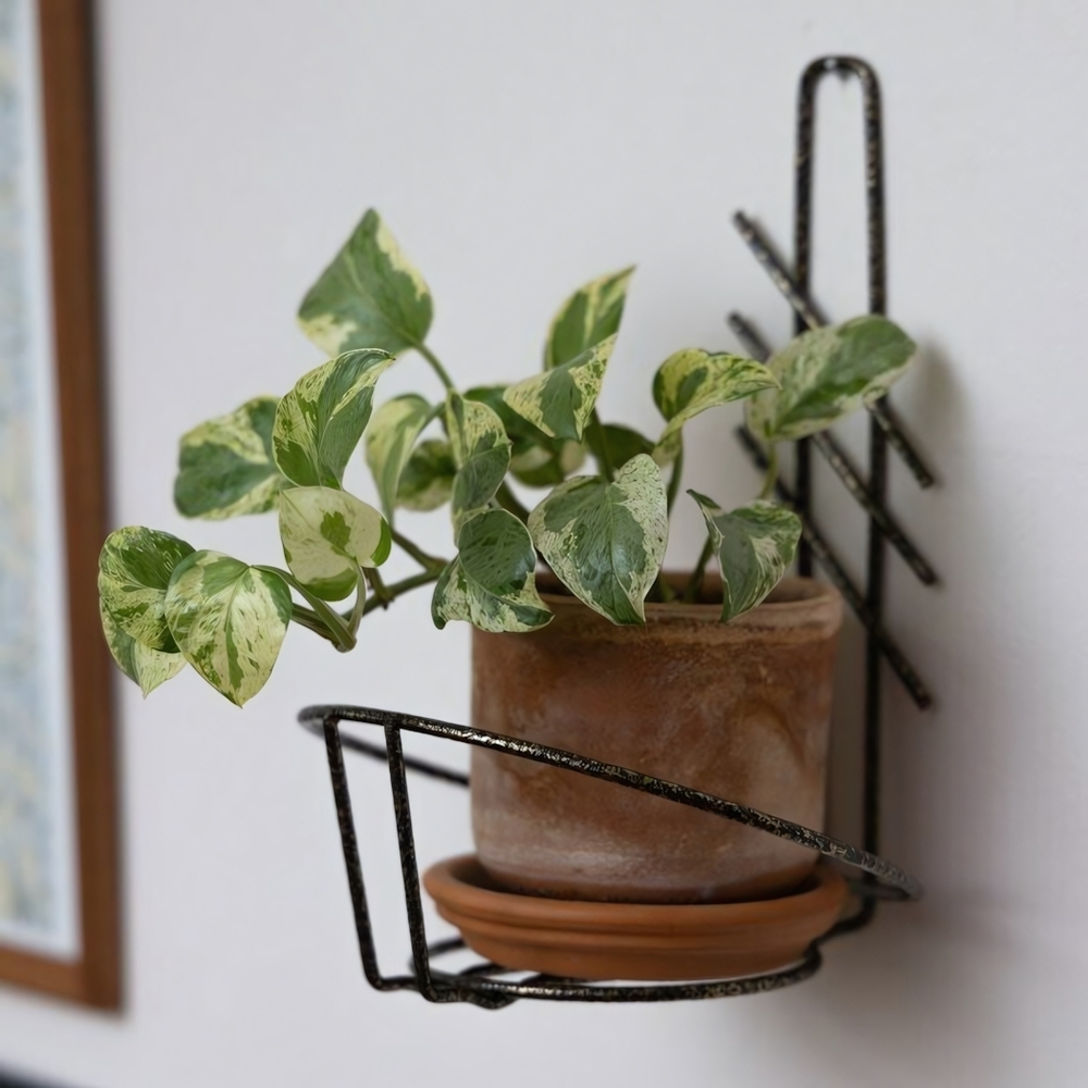 Подставка для цветов настенная "Большая" на 1 горшок, металл М0000091