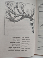Гон спозаранку. Рассказы американских писателей о молодежи
