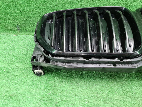 Решетка радиатора BMW X5 G05 (2018-2023)