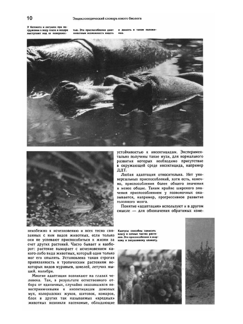 Энциклопедический словарь юного биолога | Нет автора