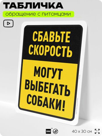 Табличка "Сбавьте скорость, могут выбегать собаки" на дверь и забор, для двора, дома, подъезда, 40х30 см, Silver Plane x Айдентика Технолоджи