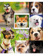 Тетрадь А5 48л. на скобе, клетка "Живые эмоции" (Хатбер)