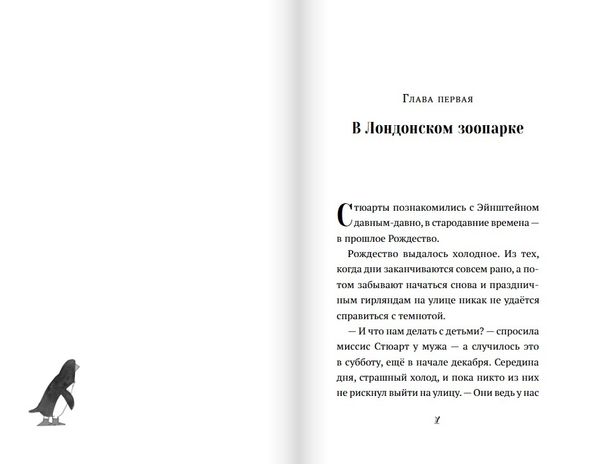 Пингвин по имени Эйнштейн