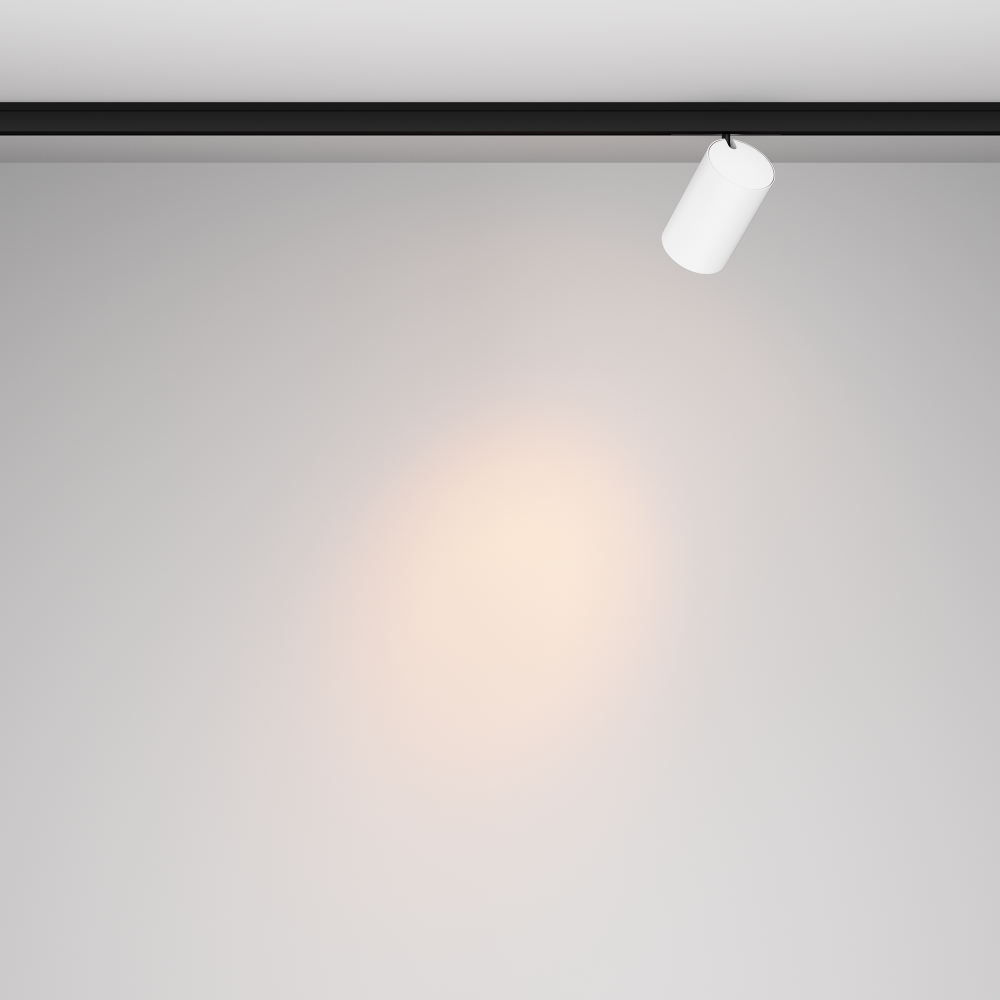 Магнитный трековый светильник Maytoni Focus Led TR187-1-9W2.7K-M-BW