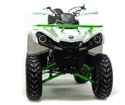 Квадроцикл MOTOLAND 200 Shark (2021 Г.)