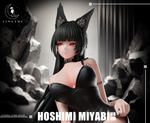 Хошими Мияби / Hoshimi Miyabi