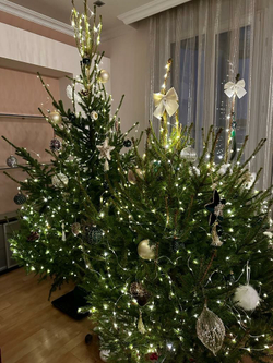 Ель премиум до 2 м