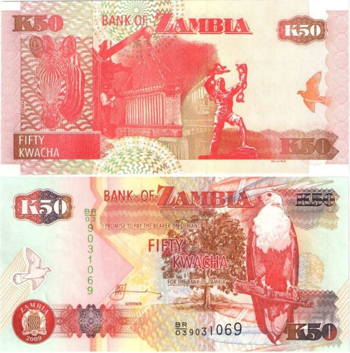 50 квач 2009 Замбия