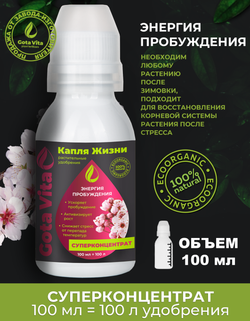 Энергия пробуждения