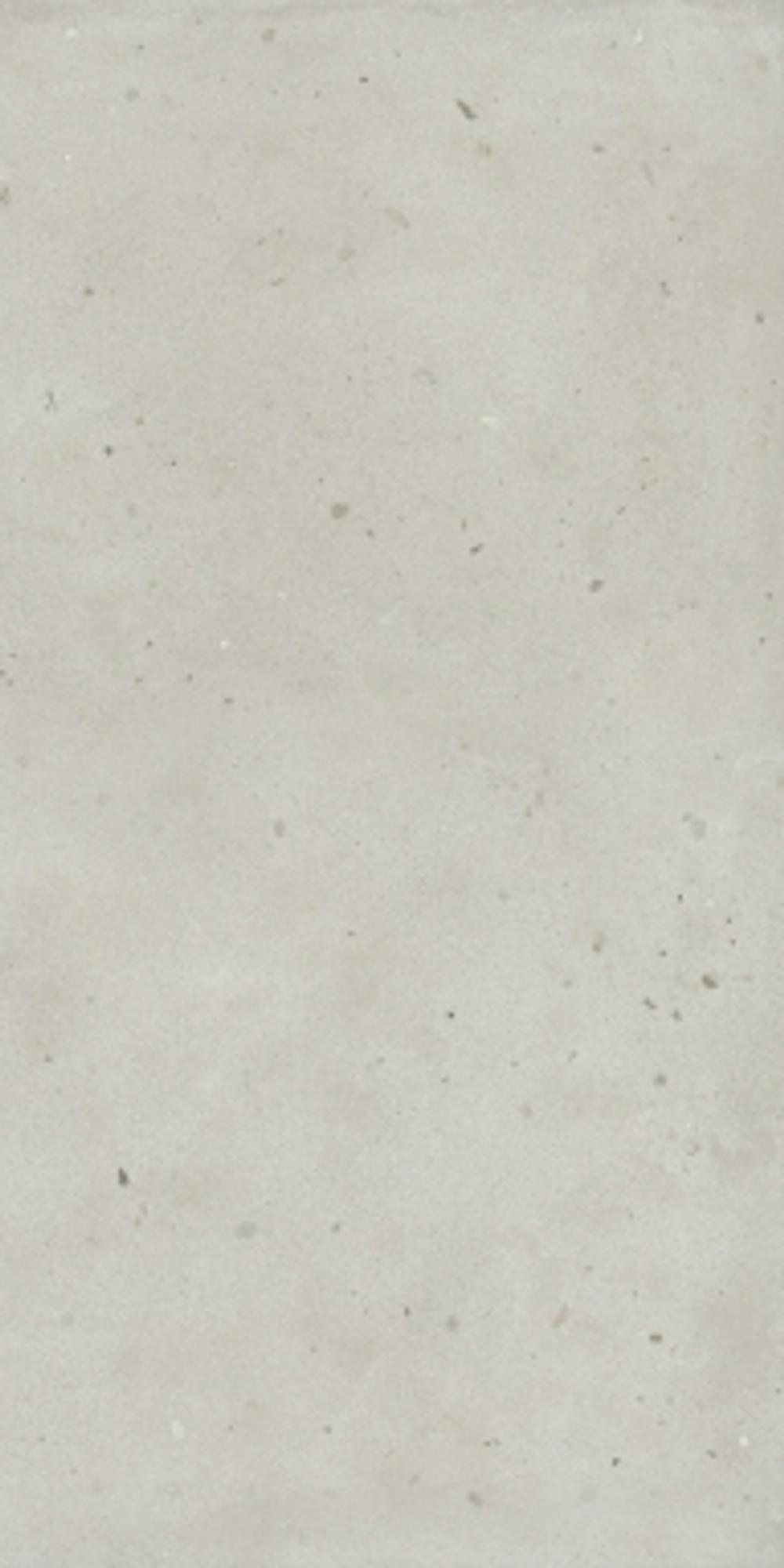 AVANDGARD PUR (АВАНГАРД ПЬЮР) 1200*600 керамогранит, натуральный