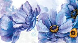 Коллекция Цветы