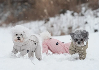 Комбинезоны