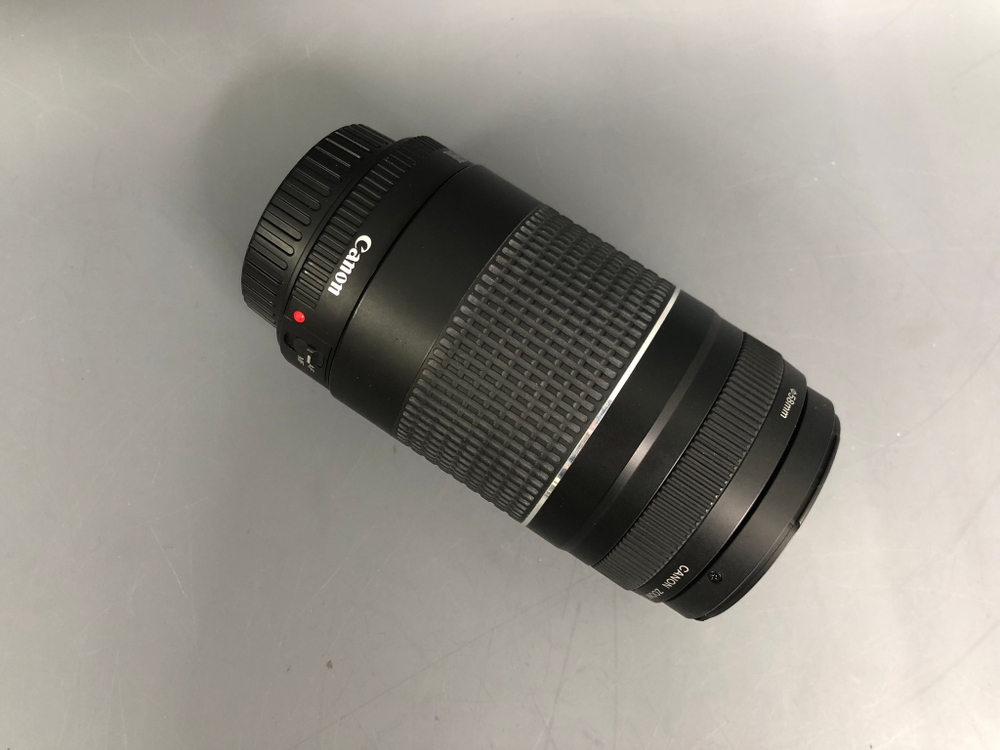 Canon EF 75-300mm 4-5.6 III
