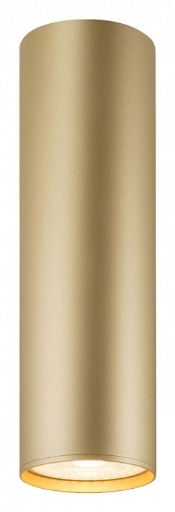 Накладной светильник Denkirs DK2052-SG