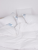 Одеяло пуховое облегчённое Афина Евро 200х200