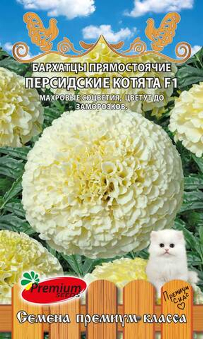 Бархатцы прямостоячие Персидские котята F1