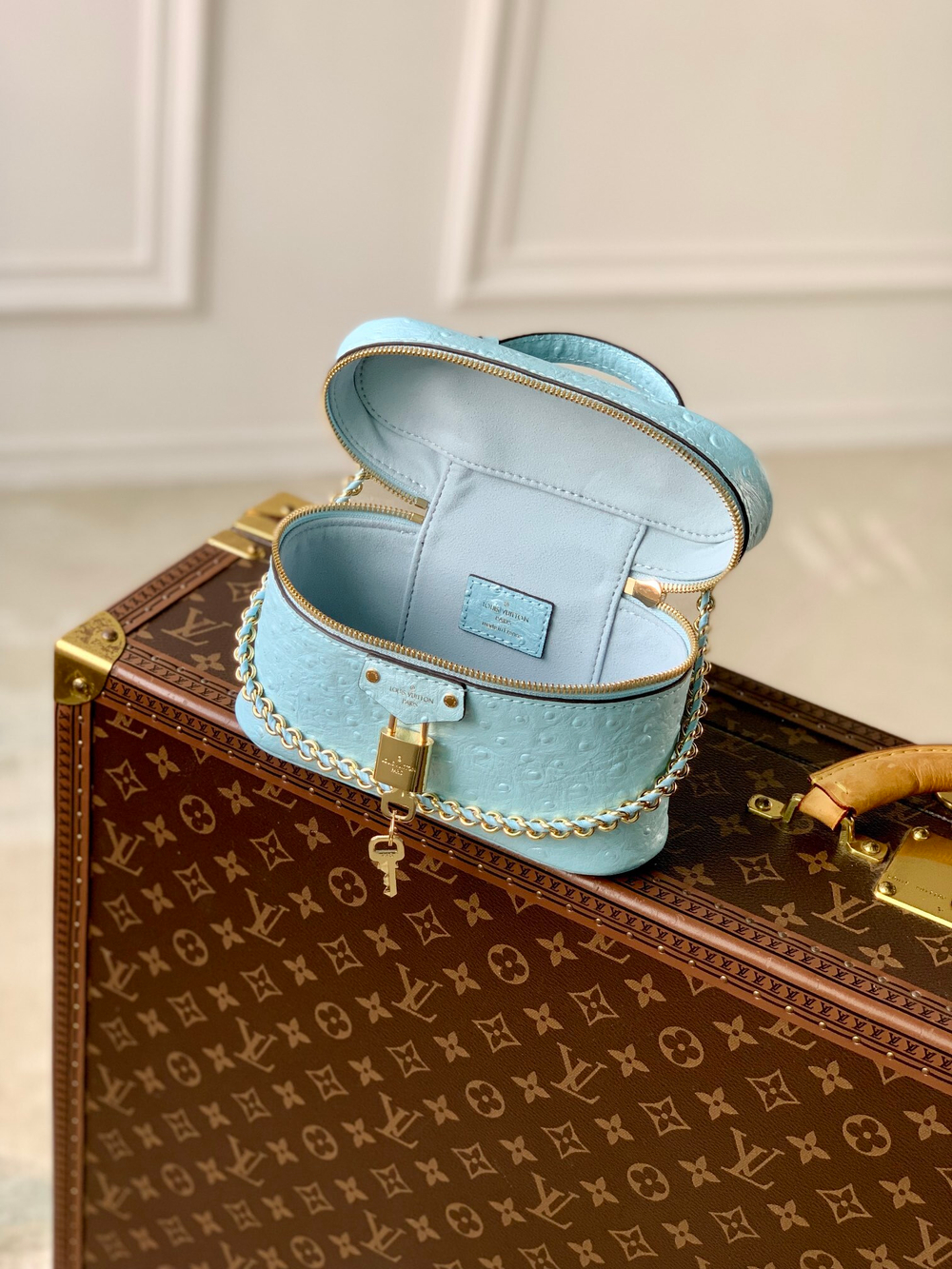 Louis Vuitton Vanity Chain Pouch