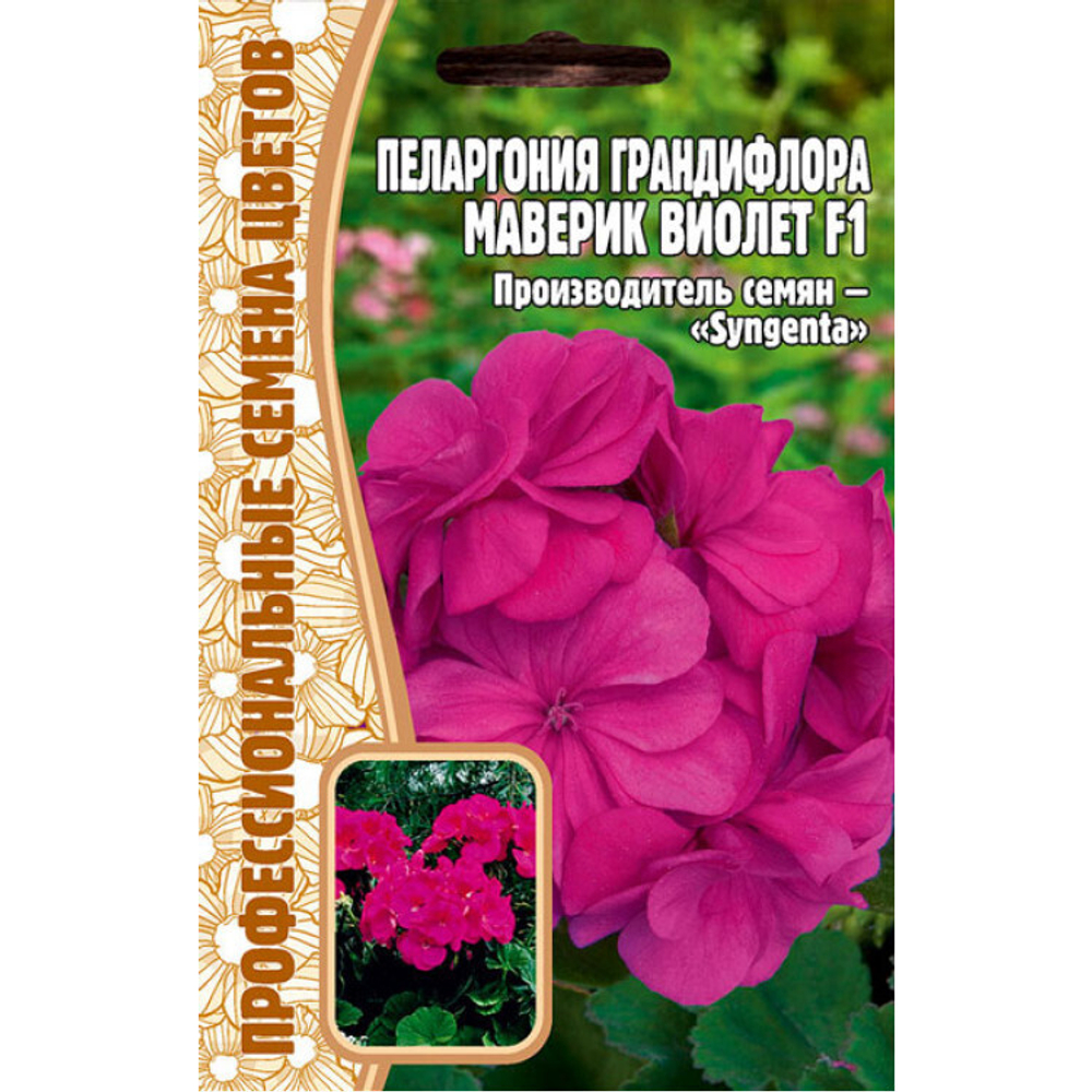 Пеларгония грандифлора Маверик Виолет