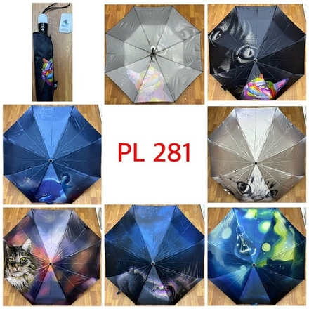 Зонт PL281