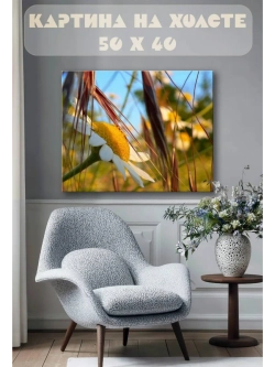 Картина на стену 40 X 50 Ромашки