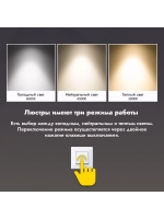 Люстра потолочная светодиодная 88081/4