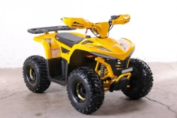 Электроквадроцикл Green Camel Гоби K90 (48V 750W R7 Дифференциал) Tao LUX