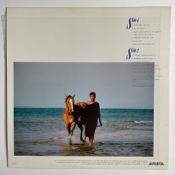 Винтажная виниловая пластинка LP Whitney Houston Hold Me (Japan 1985) (No Obi)