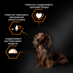 Сухой корм PRO PLAN EVERYDAY NUTRITION для взрослых собак мелких и карликовых пород курица 700 г