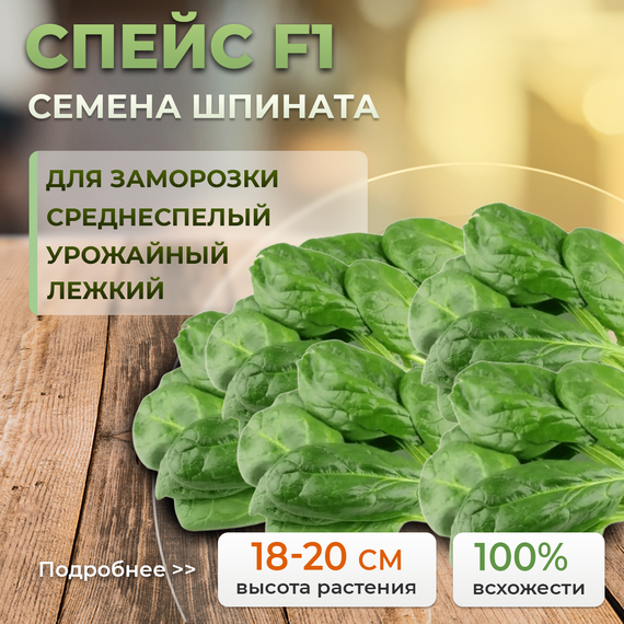 СПЕЙС F1 семена шпината (Bejo | Alexagro) – фото 1