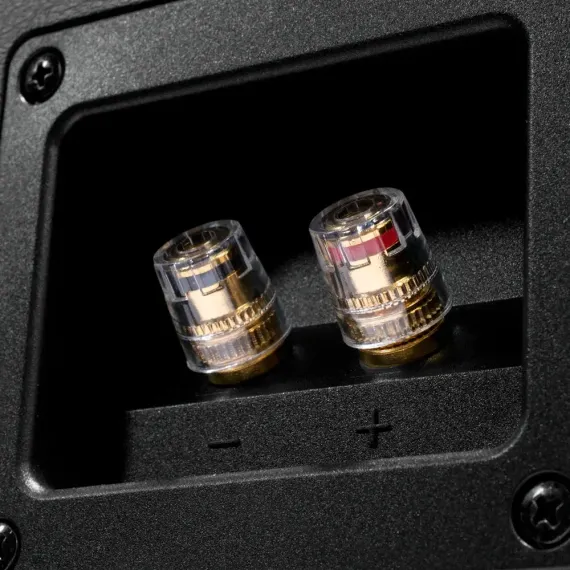 Emotiva T-zero+ pair